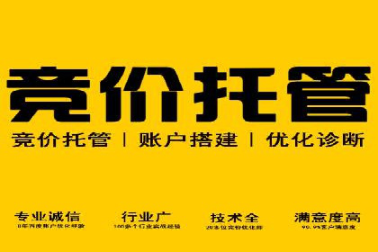 SEM代运营案例：揭秘搜索营销策略